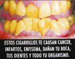 cigarros.jpg