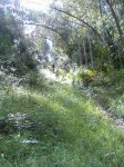 Imagen006.jpg