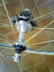 Image0006.jpg