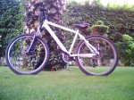 Picture0001.jpg