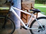 Picture0003.jpg