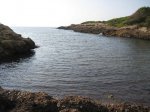 IMG_2297.JPG