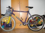 cassandraÂ´s bikes 003.jpg
