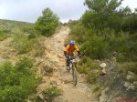 DSC01018.jpg