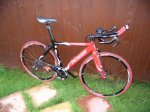 trispecialized.jpg