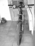 IMG_0105b.jpg