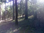 020820081049.jpg