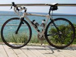 orbea.jpg