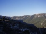 P1010033.jpg
