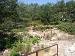 Foto28.jpg