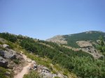 Foto34.jpg