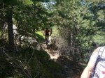 Foto41.jpg