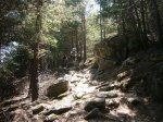Foto44.jpg
