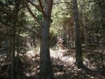 Foto46.jpg