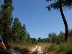 DSCN2263 (Large).JPG