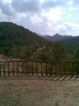 02082008(005)_600x800.jpg