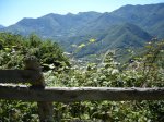 Asturias 2008 090 [800x600].JPG