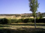 foto1.jpg
