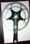 Biela2.gif