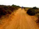 20072008398.jpg