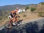 12PAJARO ENTRANDO EN LUJAR 1.jpg