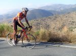 13PAJARO ENTRANDO EN LUJAR 2.jpg