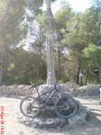 DSC00867.JPG
