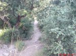 DSC00869.JPG