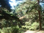 DSC06277.JPG