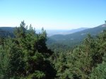 DSC06281.JPG
