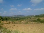 Imagen014.jpg