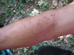 DSC02028.jpg