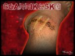 scarrikesko_pie_retocada.jpg