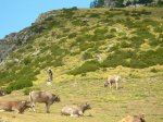 DSCN4951.JPG