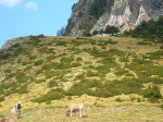 DSCN4952.JPG