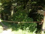 DSCN4989.JPG