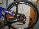 DSC00188.jpg