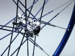 DSC07855.jpg