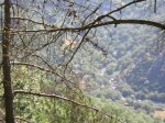 DSCN0679.JPG