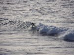 100_1265.JPG