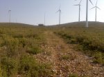 Imagen029.jpg