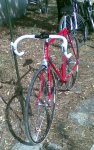 Bici.jpg