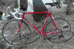 Bici 2.JPG