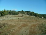 DSCF1157.jpg