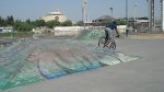 DSC02189.jpg