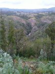 IMAGE_00323.jpg