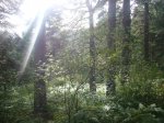 Foto1.JPG