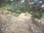 Foto7.JPG