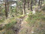 Foto11.JPG