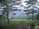 Foto22.JPG